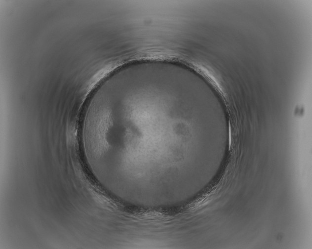 X0000090620483200707241133