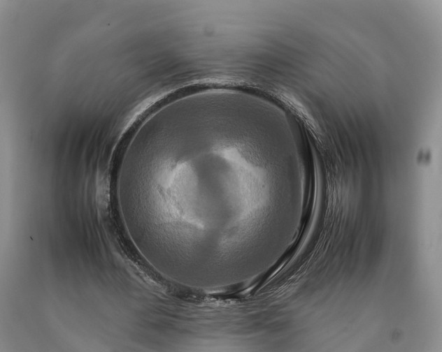 X0000090620484200707241133
