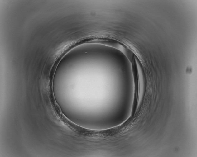 X0000090620485200707241132