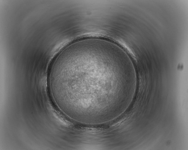X0000090620486200707241132