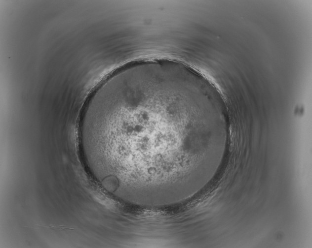 X0000090620487200707241132