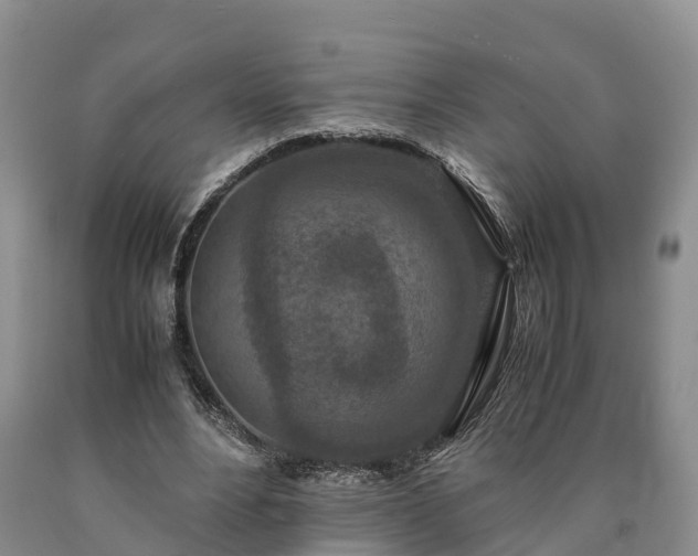 X0000090620488200707241132