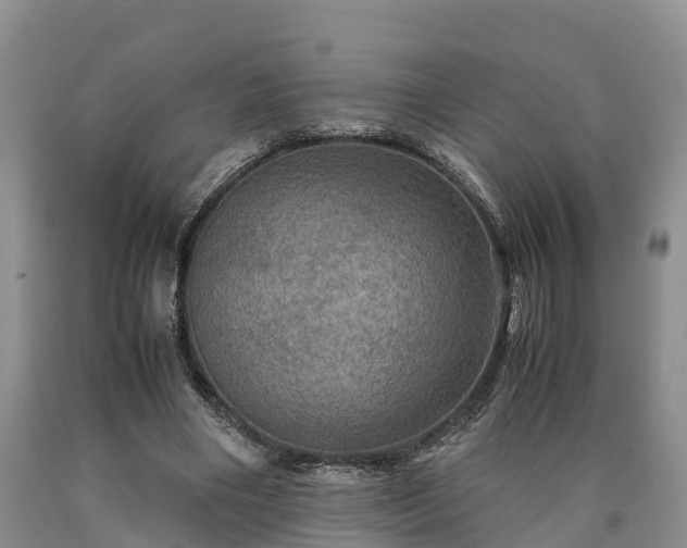 X0000090620490200707241132