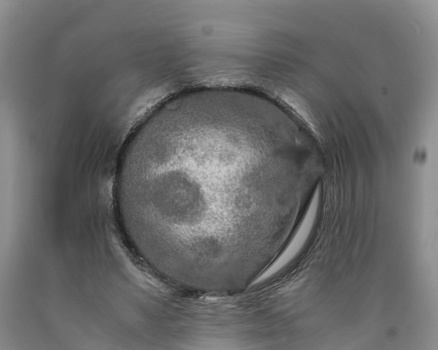 X0000090620491200707241132