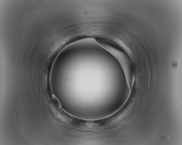 X0000090620493200707241132