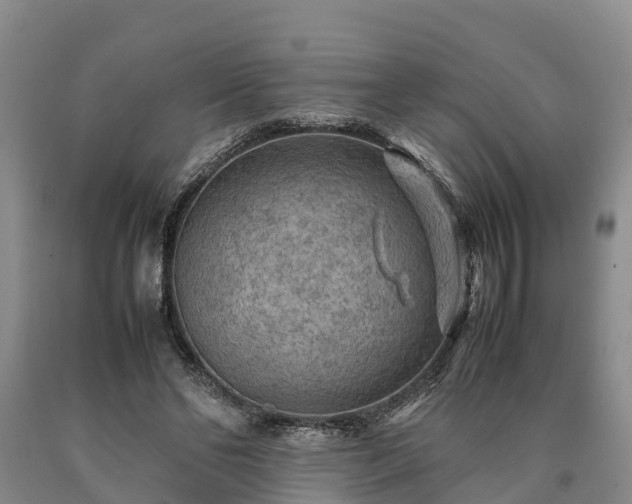 X0000090620494200707241132