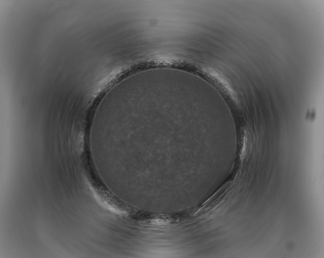 X0000090620496200707241132