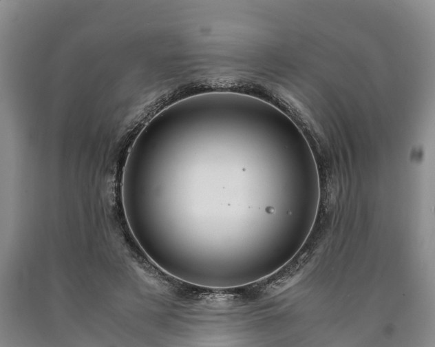 X0000090620497200707241132