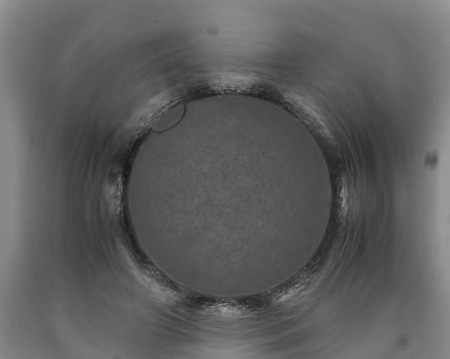 X0000090620498200707241132