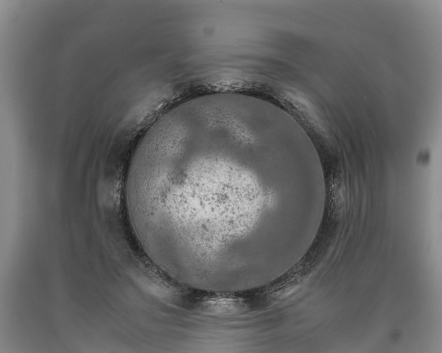 X0000090620499200707241132