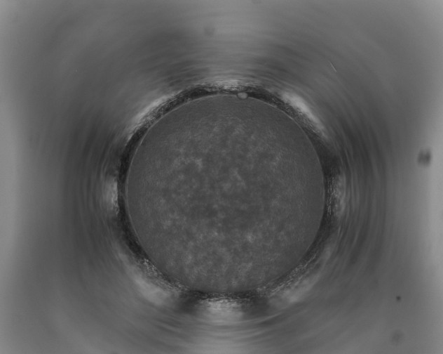 X0000090620500200707241132