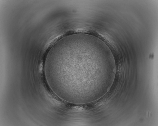 X0000090620502200707241132