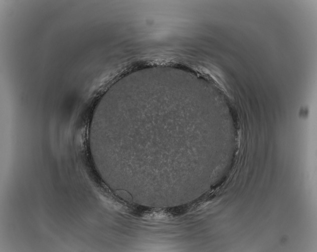 X0000090620503200707241132