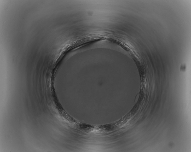 X0000090620504200707241132