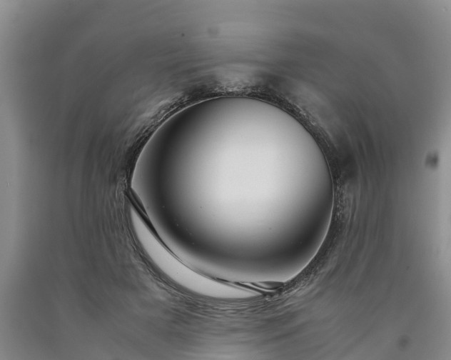 X0000090620505200707241132