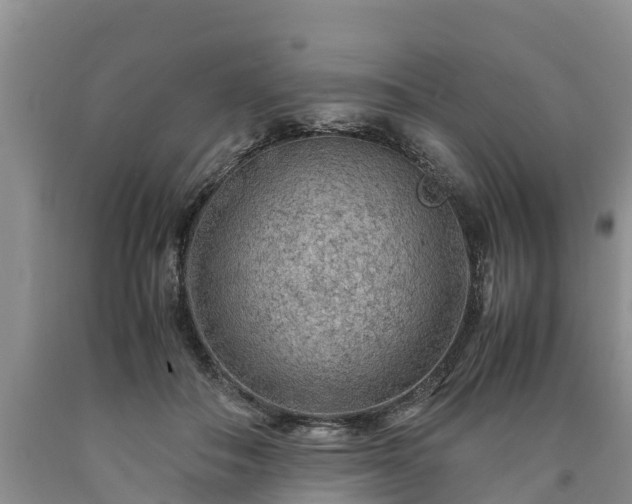 X0000090620506200707241132