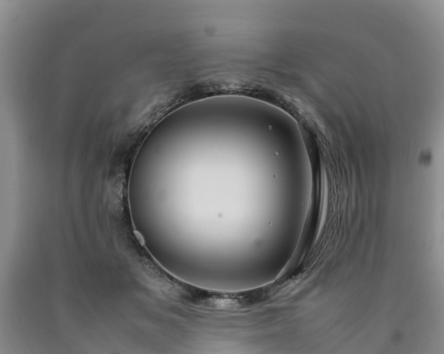 X0000090620509200707241132