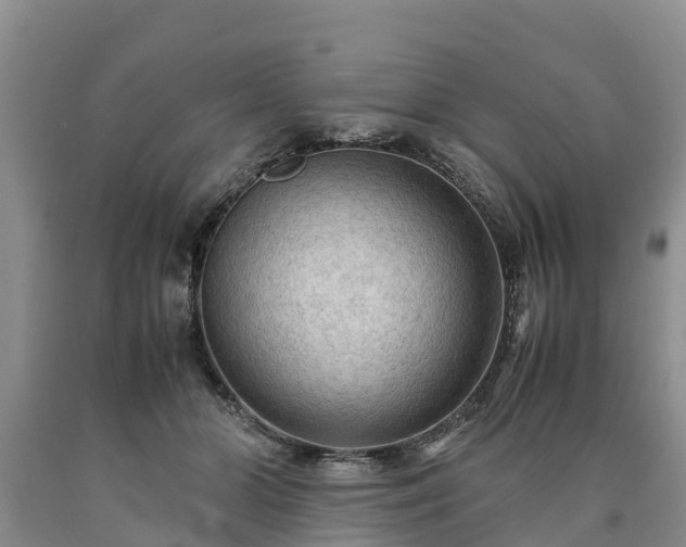X0000090620510200707241132