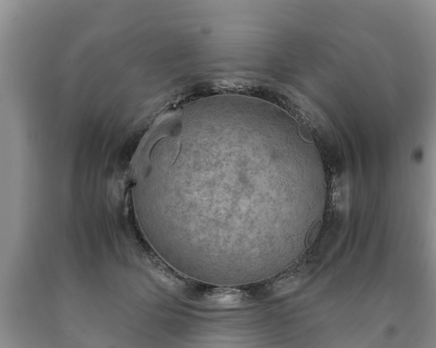 X0000090620514200707241132