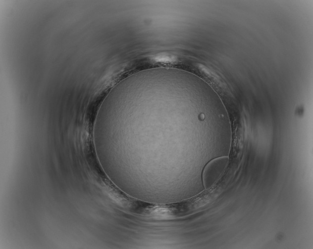 X0000090620518200707241132