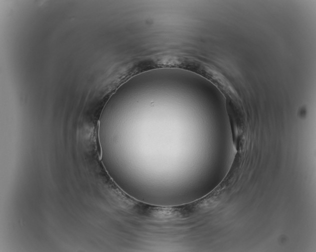 X0000090620521200707241132