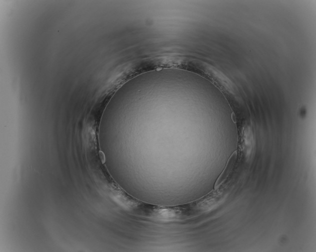X0000090620522200707241132