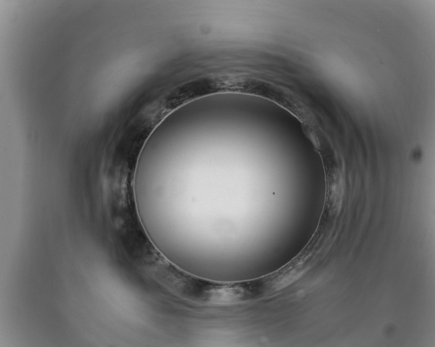 X0000090620525200707241132
