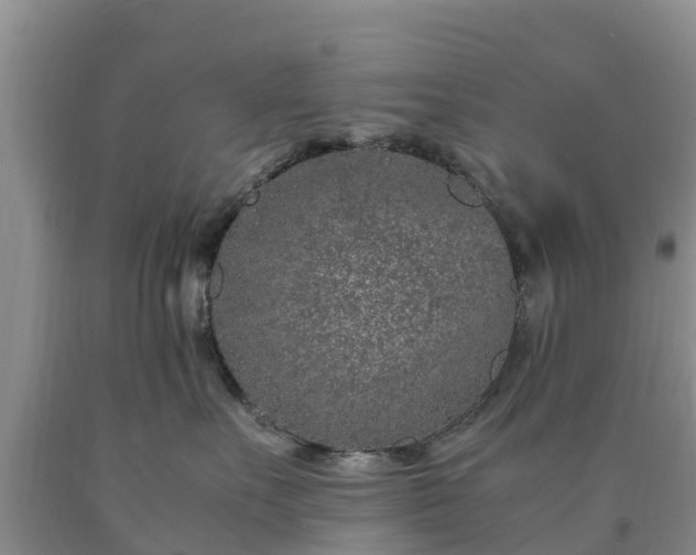 X0000090620527200707241132