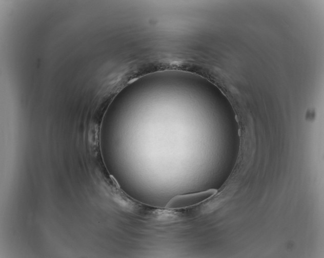 X0000090620528200707241132
