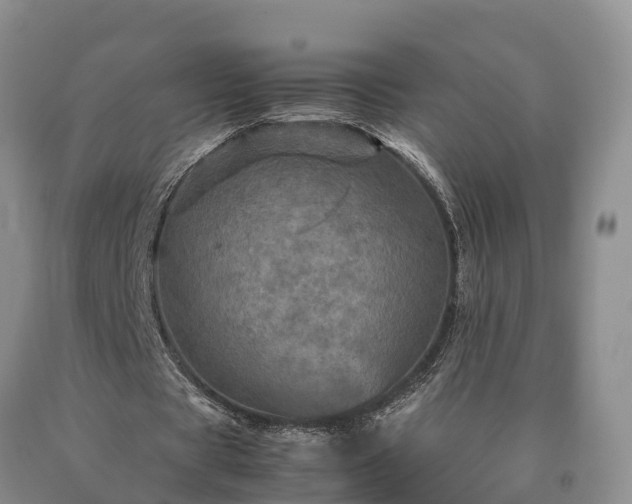 X0000090620529200707241131