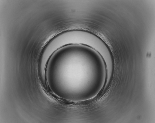 X0000090620530200707241131