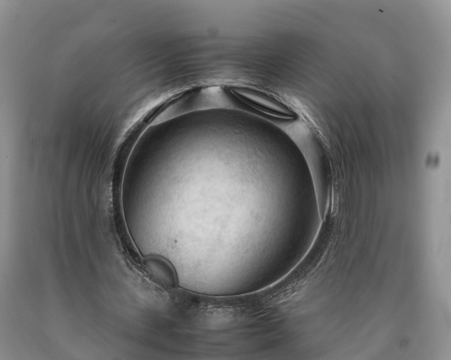 X0000090620531200707241131