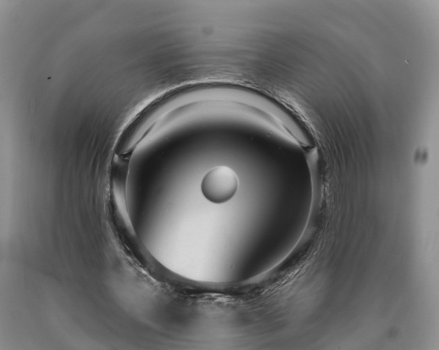 X0000090620532200707241131