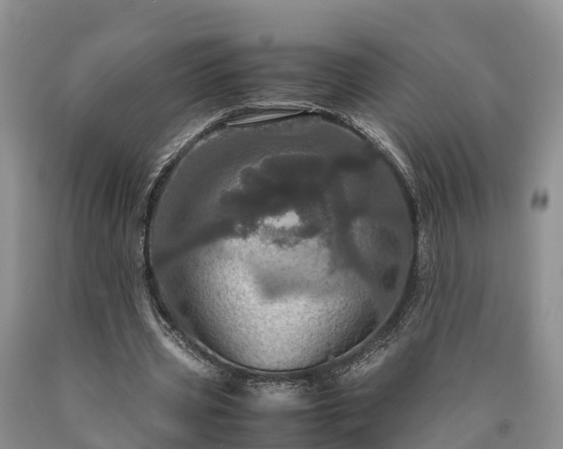 X0000090620533200707241131