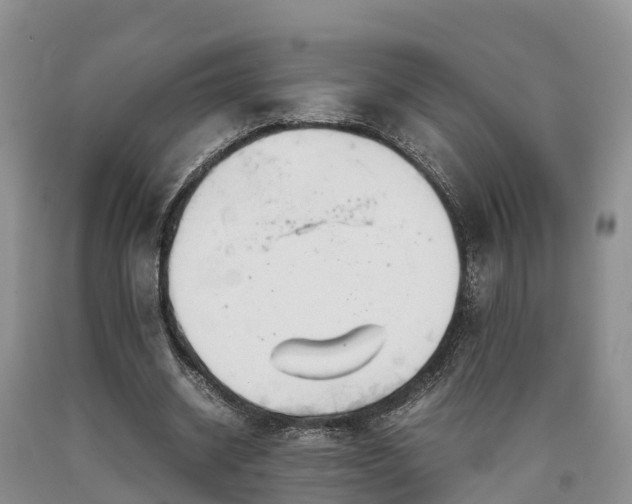 X0000090620534200707241131