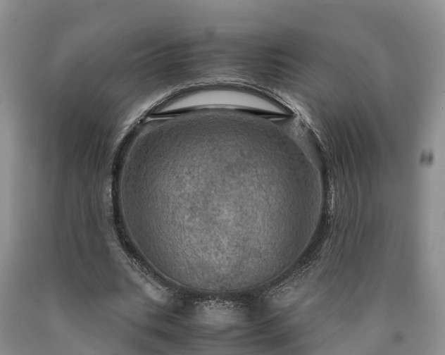 X0000090620535200707241131