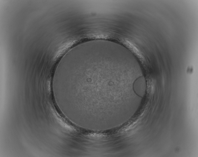 X0000090620537200707241131