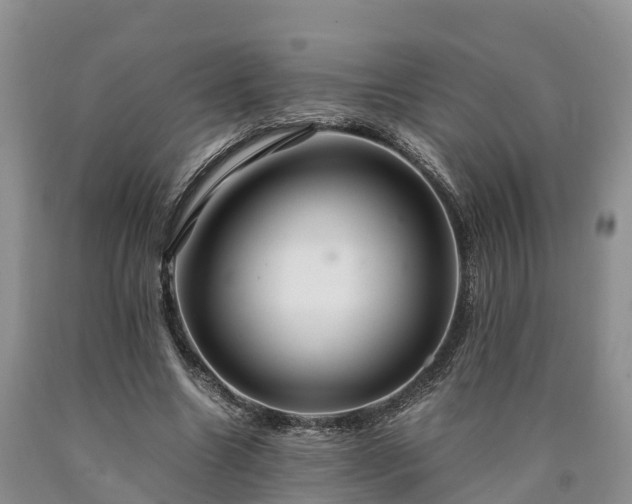 X0000090620538200707241131