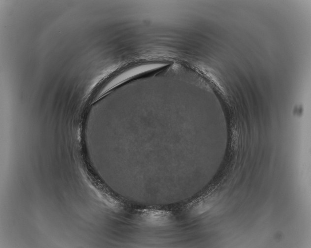 X0000090620539200707241131