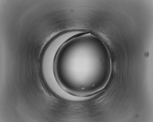 X0000090620540200707241131
