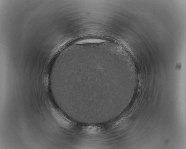 X0000090620542200707241131