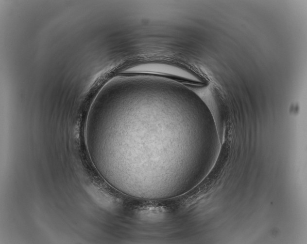 X0000090620543200707241131