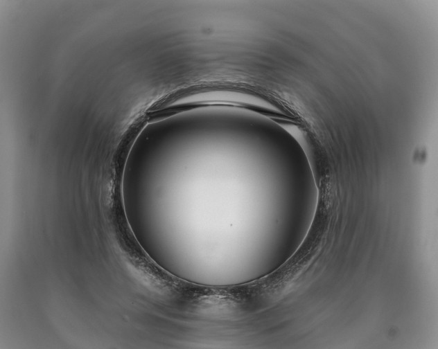 X0000090620544200707241131