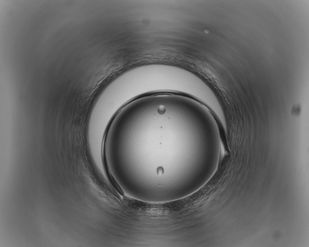 X0000090620546200707241131