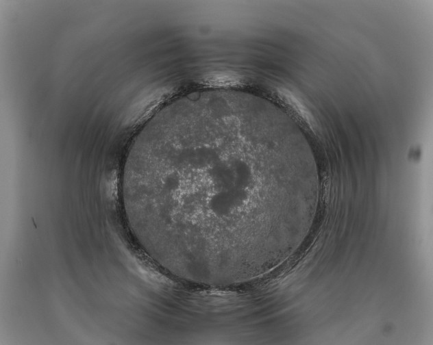 X0000090620549200707241132