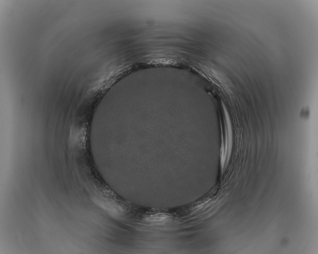X0000090620551200707241132
