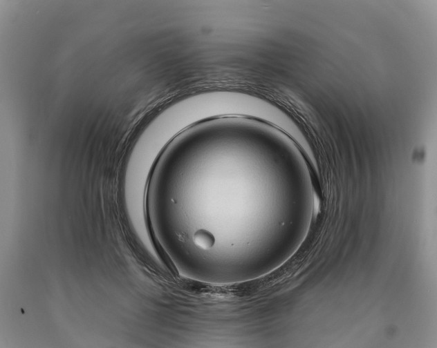 X0000090620552200707241132