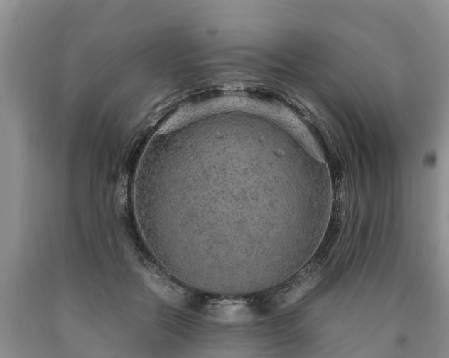 X0000090620554200707241132