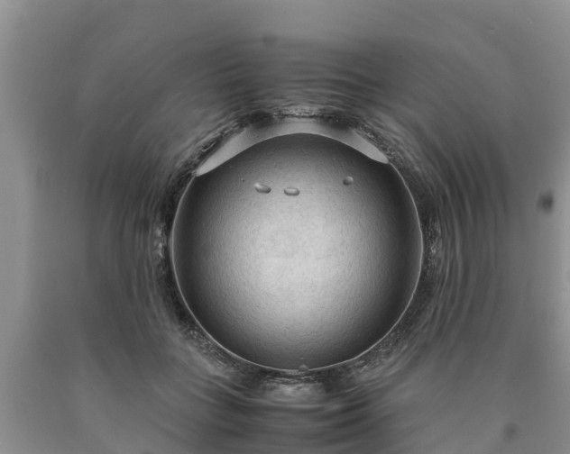 X0000090620555200707241132