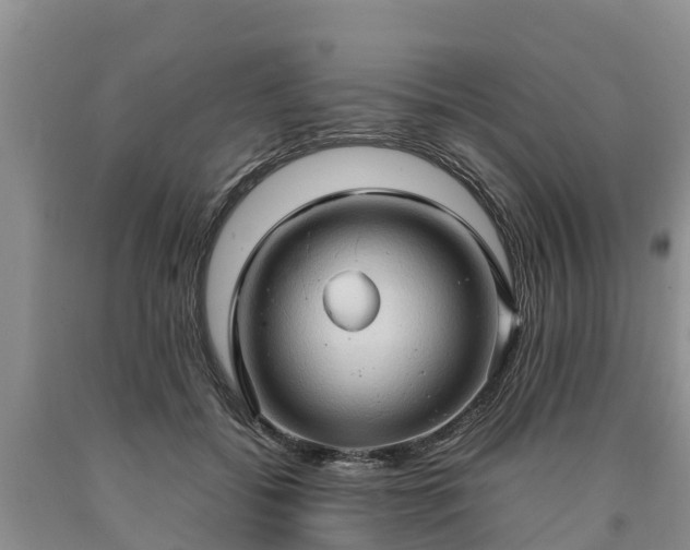 X0000090620556200707241132